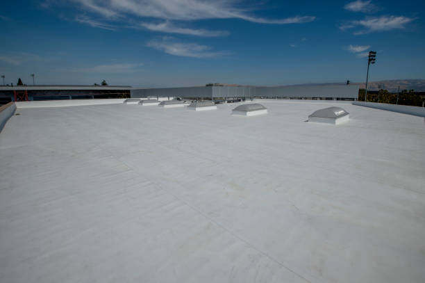 Best Asphalt Shingle Roofing  in South Barre, VT