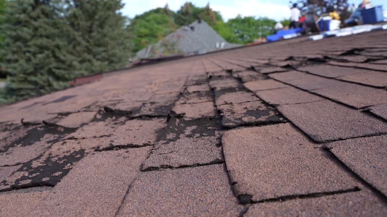 Best Commercial Roofing Services  in South Barre, VT