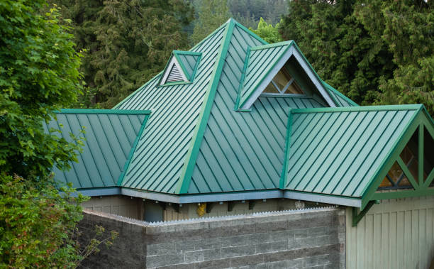 Best Roof Maintenance and Cleaning  in South Barre, VT