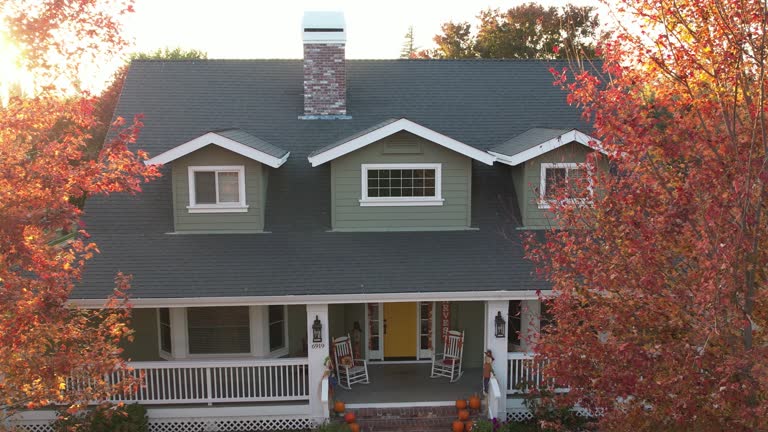 Best Roof Moss and Algae Removal  in South Barre, VT
